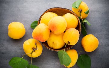 листья, фрукты, плоды, абрикосы