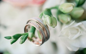 цветы, кольца, свадьба, праздник