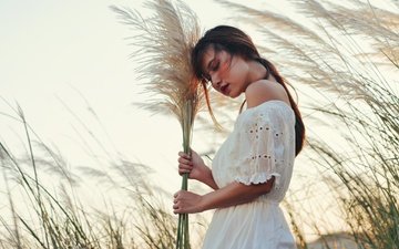 трава, девушка, лето, колоски, лицо, растение, азиатка, белое платье