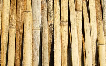 текстура, стена, бамбук, древесина