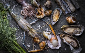 кальмар, укроп, морепродукты, креветки, моллюски, устрицы