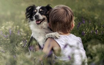 мордочка, взгляд, собака, дети, ребенок, мальчик, полевые цветы, дружба
