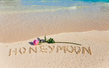 море, цветок, песок, пляж, роза, романтик, тропическая, влюбленная, honeymoon