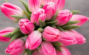 цветы, бутоны, весна, букет, тюльпаны, розовые