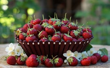 ягода, красная, клубника, стол, цветочки, боке