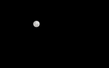 ночь, вектор, луна, графика, минимализм, черный фон