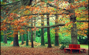 деревья, листья, парк, осень, скамейка