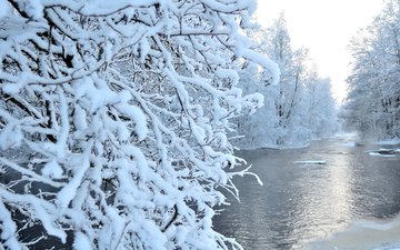 река, снег, природа, лес, зима
