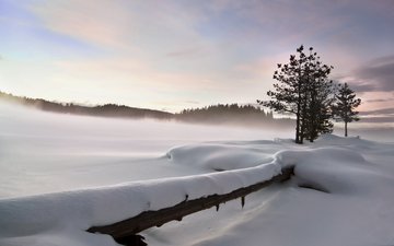 снег, природа, зима, пейзаж, забор, strahil dimitrov