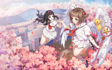 летающие, cherry blossom, летны, крылышки, kinomoto sakura, blossom, anime girls, cardcaptor sakura, daidouji tomoyo