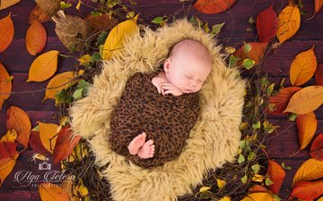 листья, осень, дети, спит, ребенок, младенец, мех, гнездо, милый