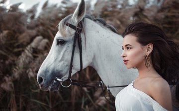 лошадь, девушка, профиль, фотограф, конь, иван горохов, алия ландо, голое плечо