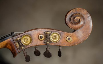 скрипка, крупный план, музыкальный инструмент