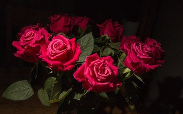 цветы, бутоны, розы, лепестки, красные, букет