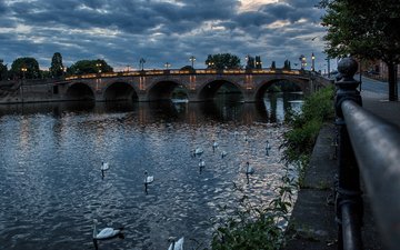 фонари, вечер, река, мост, город, птицы, англия, белые лебеди, в река, severn, worcester