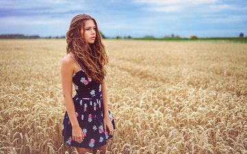 девушка, пейзаж, поле, взгляд, модель, пшеница, лицо, шатенка, вьющиеся волосы