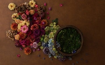 цветы, бутоны, розы, лепестки, много, композиция, декор, флористика