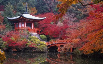 дерево, храм, осень, япония, киото, пруд, дайго, буддийский храм дайго-дзи, дайго-дзи