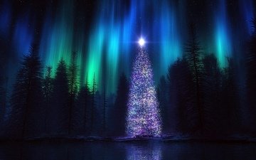 снег, елка, лес, волшебство, рождество, год, нов