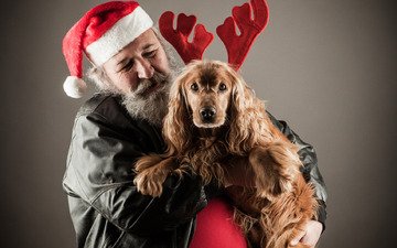 новый год, настроение, красная, собака, дед мороз, шапка, рога, праздник, рождество, куртка, борода, спаниель, кожанка, санта-клаус