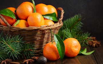 новый год, украшения, плоды, рождество, мандарины, дерева, мандаринка, merry, fir tree, ветки ели, mandarines