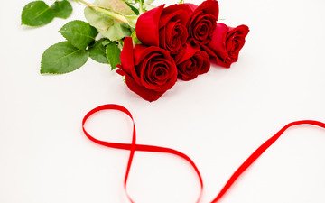цветы, розы, красные, лента, романтик, 8 марта