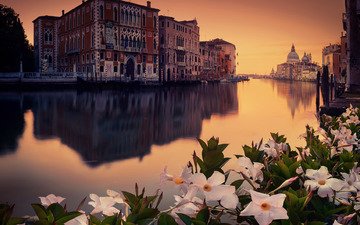 цветы, город, венеция, venecia