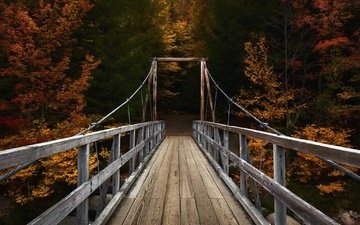 река, природа, лес, мост, осень