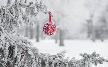 снег, зима, иней, игрушка, шарик, праздник