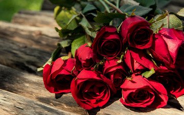 розы, красные, букет, романтик, дерева