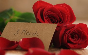 лепестки, букет, подарок, романтик, 8 марта, краcный, роз, красные розы