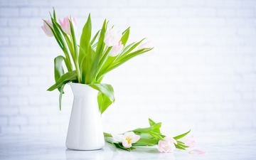 цветы, бутоны, лепестки, букет, тюльпаны, ваза