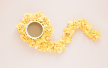 цветы, фон, кофе, чашка, желтые, орхидеи, композиция