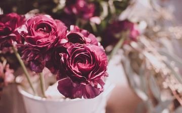 цветы, бутоны, розы, букет, ваза