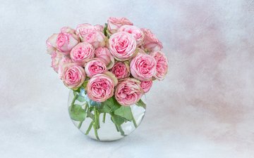 розы, букет, розовые, ваза, julija vilvarin