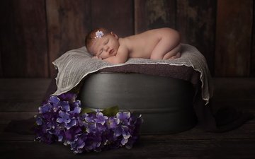 цветы, сон, дети, спит, ребенок, младенец, композиция, новорожденный, дитя