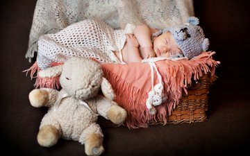 сон, игрушка, корзина, ребенок, младенец, накидка, шапочка, спящий, овца, грудной ребёнок