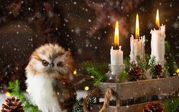 сова, снег, свечи, новый год, елка, хвоя, ветки, игрушка, птица, праздник, рождество, шишки, ящик, совенок, композиция