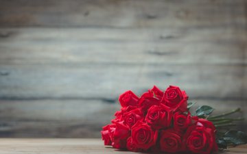 цветы, розы, красные, букет, 64, kidsada manchinda