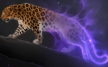 art., fantasy, leopard, eine große katze, nacht die sterne