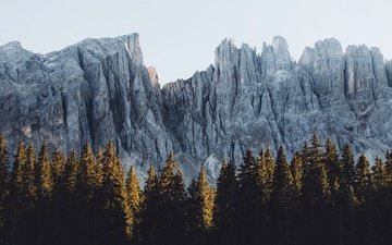горы, скалы, природа, лес