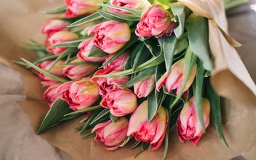 цветы, бутоны, лепестки, букет, тюльпаны, розовые