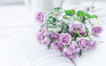 цветы, розы, букет, книга, фиолетовые