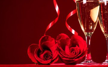 цветок, роза, бокалы, шампанское, день святого валентина, влюбленная