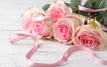 цветы, бутоны, розы, лепестки, розовые, лента