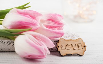 цветы, надпись, любовь, тюльпаны, розовые, irina bort