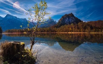озеро, горы, природа, отражение, пейзаж, осень, австрия, леса, пень, almsee, альмзе