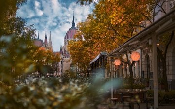 деревья, город, осень, дома, улица, башни, здания, купол, венгрия, будапешт, парламент