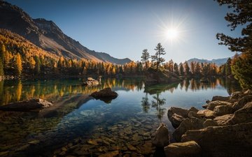 деревья, озеро, горы, камни, лес, отражение, осень, швейцария, альпы, lago di saoseo, поскьяво
