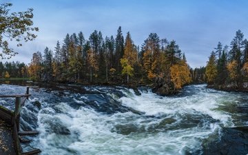 деревья, река, лес, осень, финляндия, kuusamo
